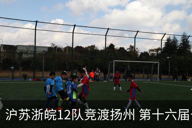 沪苏浙皖12队竞渡扬州 第十六届长三角龙舟赛擂鼓开桨