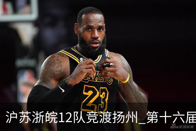 沪苏浙皖12队竞渡扬州 第十六届长三角龙舟赛擂鼓开桨